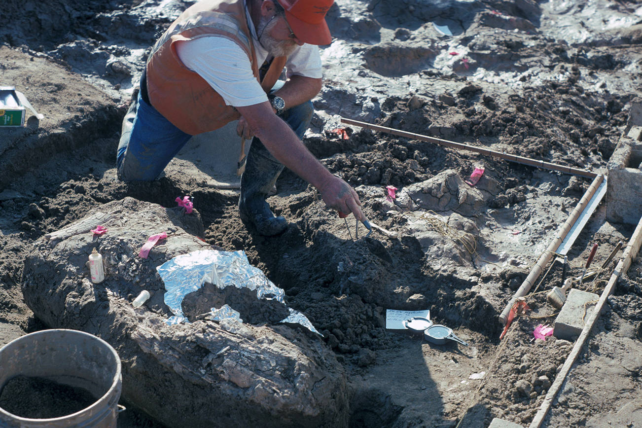 Discovery could rewrite story of when humans first appeared in the Americas