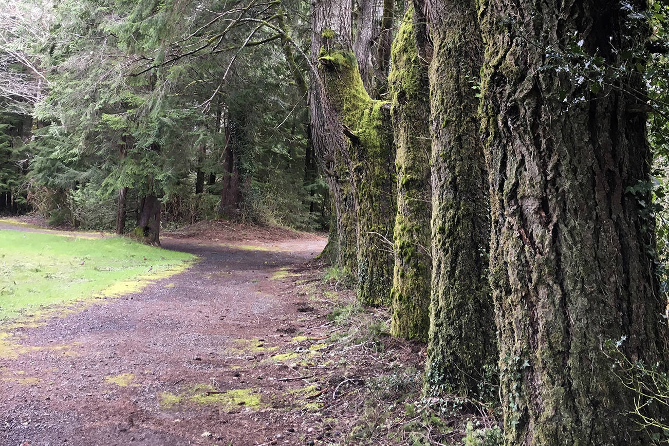 Making Tracks: In search of the perfect spot for a daily walk