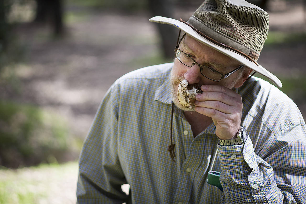 Exploring the magic and mystery of mushrooms with LA’s Mycological Society