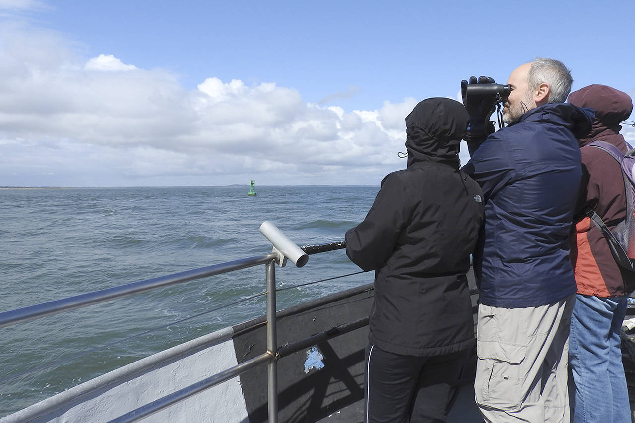 Jay Evans scans the water with binoculars, flanked by his daughter, Elise (left), and his wife, Laura. The family had traveled from Woodinville for the whale-watching tour. (Kat Bryant | The Daily World)