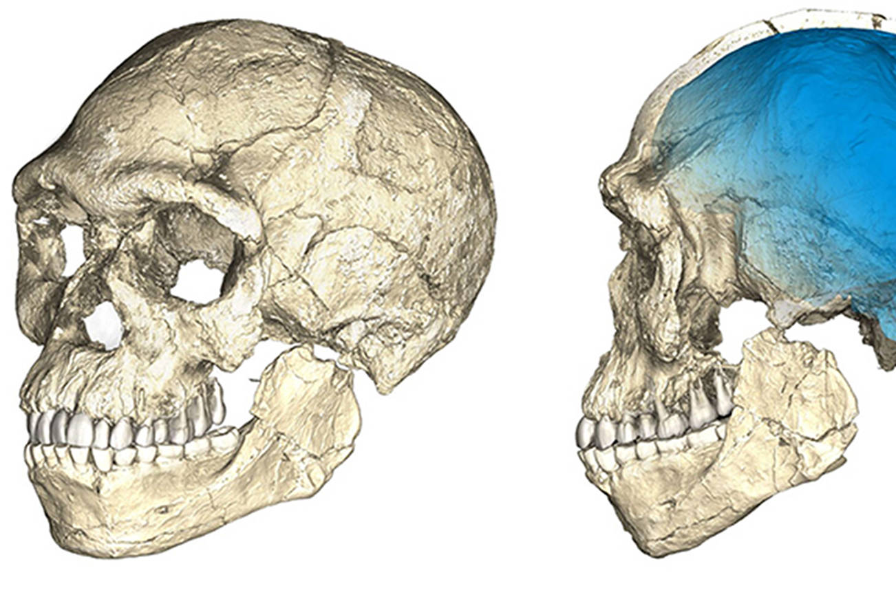 Earliest fossil evidence of Homo sapiens found in Morocco