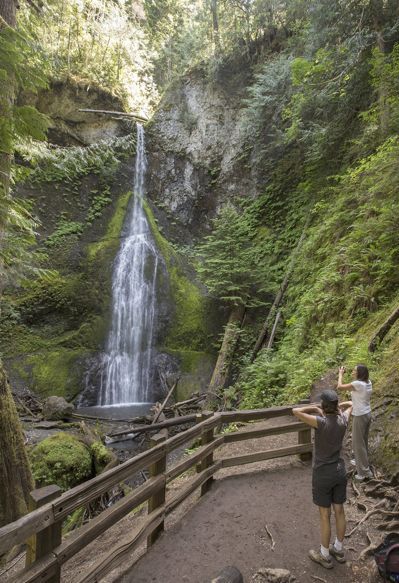 Steve Ringman | Seattle Times                                 Marymere Falls at Olympic National Park is an easy walk from Lake Crescent Lodge, through towering forest.