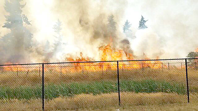 Grass fire in rural Centralia burns 33 acres