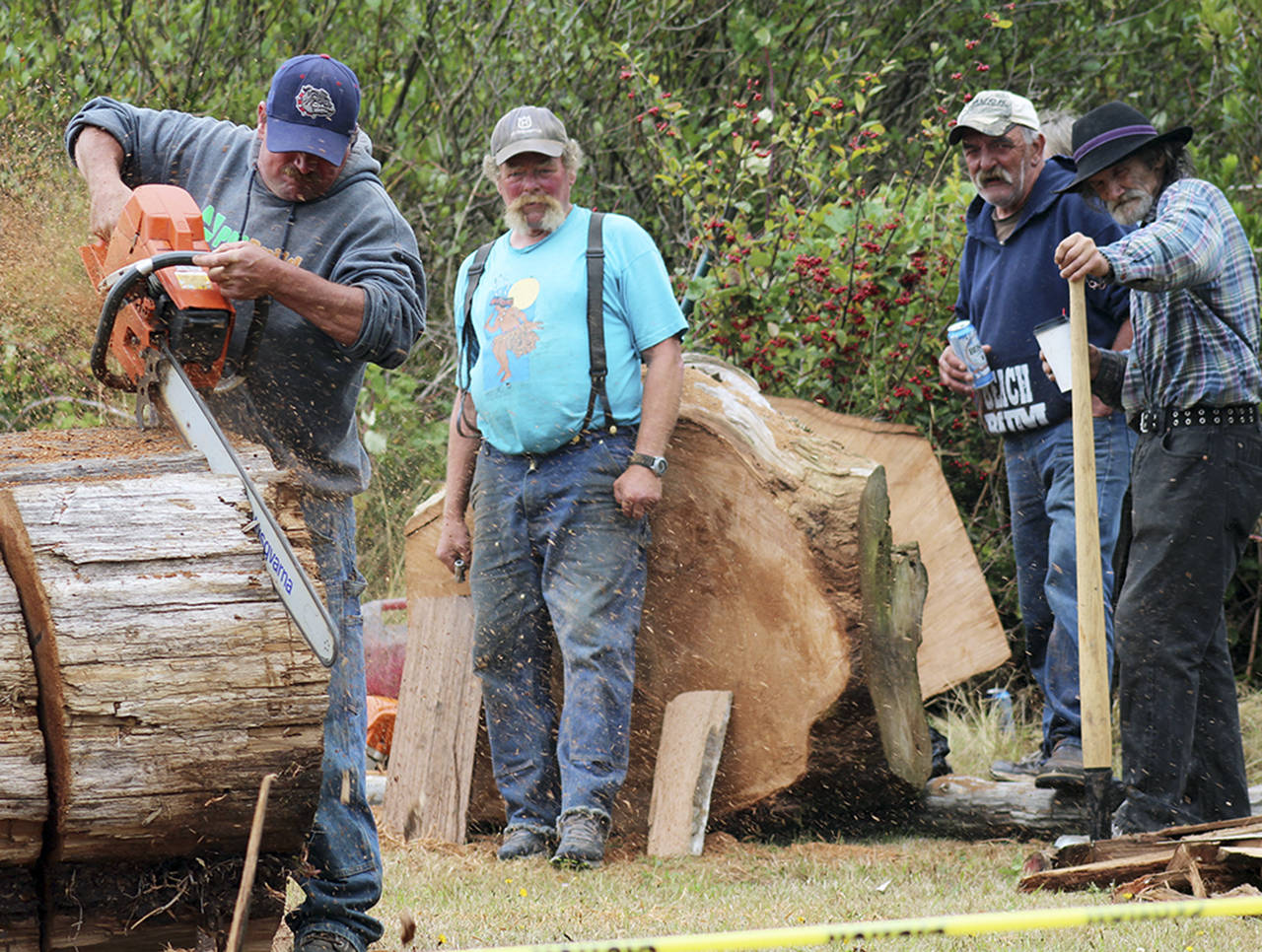 File photo                                The real competition at the Kelpers Festival in Pacific Beach involves chainsaws, axes and tree stumps.