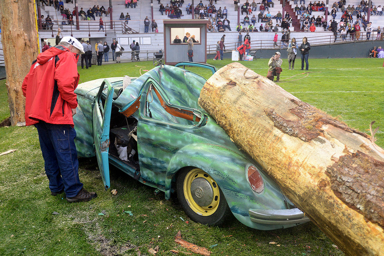 DAN HAMMOCK | THE DAILY WORLD                                After successfully smashing the watermelon at Loggers Playday, 72-year old Ed Smith decided to go big. This old bug, painted like a watermelon, fell victim to the aim of Smith when he dropped this chunk of spar tree squarely onto it.