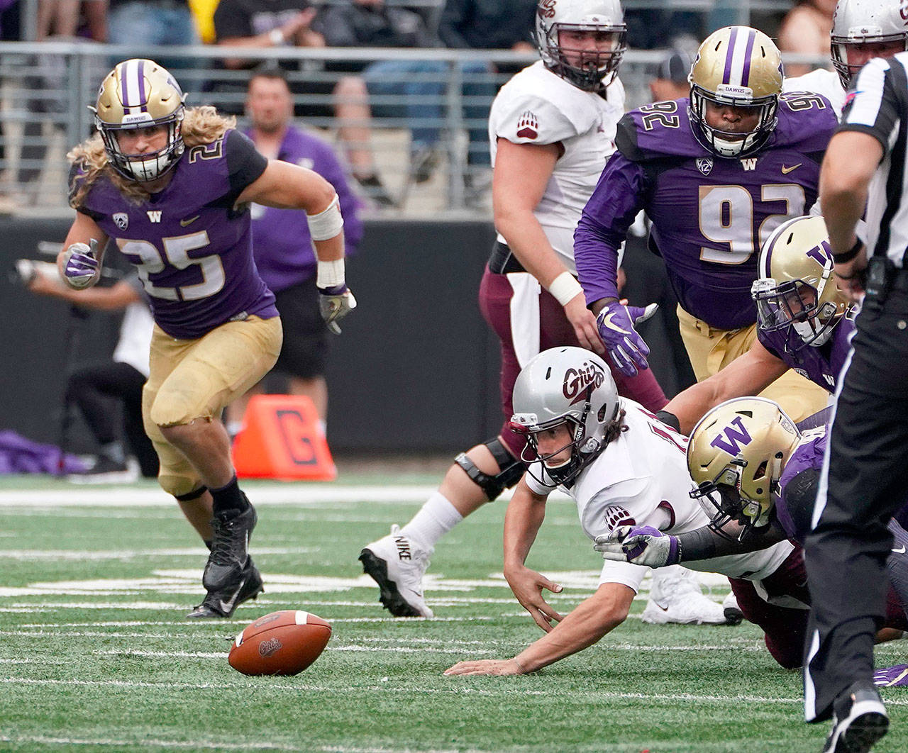 Montana quarterback Reese Phillips has the ball stripped by the Washington defense in the second quarter on Saturday at Husky Stadium in Seattle. Washington won, 63-7. (Steve Ringman/Seattle Times)