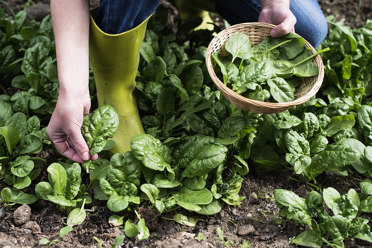 Enjoying fall and winter in your garden