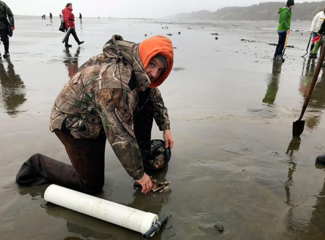 Photos from the razor clam dig on the coast | The Daily World