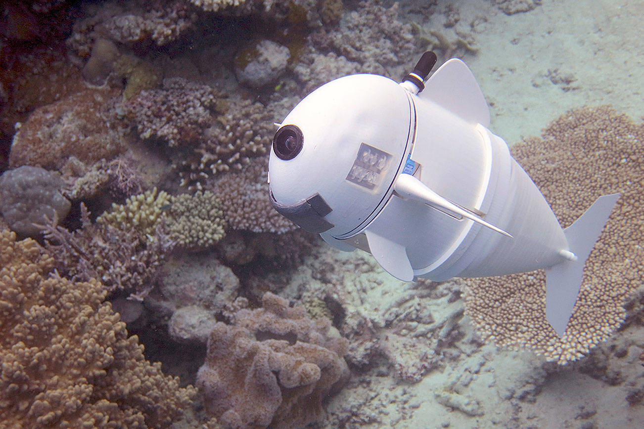 Scientists build a robotic fish to spy on ocean life