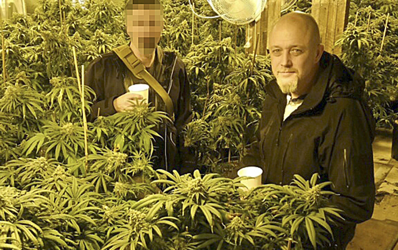 GRAYS HARBOR DRUG TASK FORCE PHOTO                                Sgt. Joe Strong of the Hoquiam Police Department is also with the Grays Harbor Drug Task Force and coordinated the Green Jade illegal marijuana busts in late November. He is pictured in one of the many drug houses raided as part of the massive operation, which netted an estimated $80 million in plants alone. The face of the other officer has been obscured for security reasons.