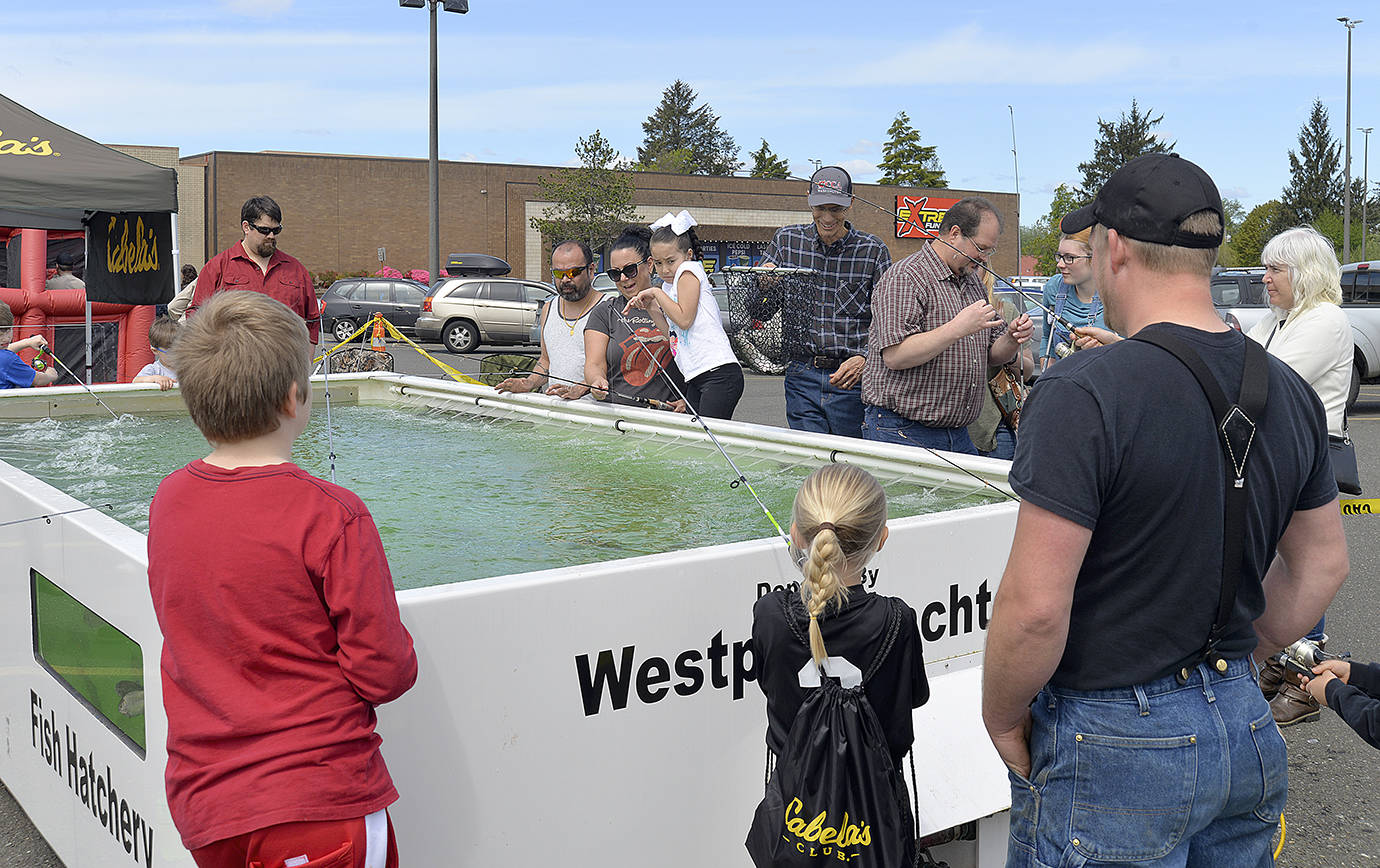 Photos by DAN HAMMOCK | THE DAILY WORLD                                A lucky angler pulls a rainbow trout out of the Cabela’s trout pond at the Gateway to the Olympics Expo over the weekend.