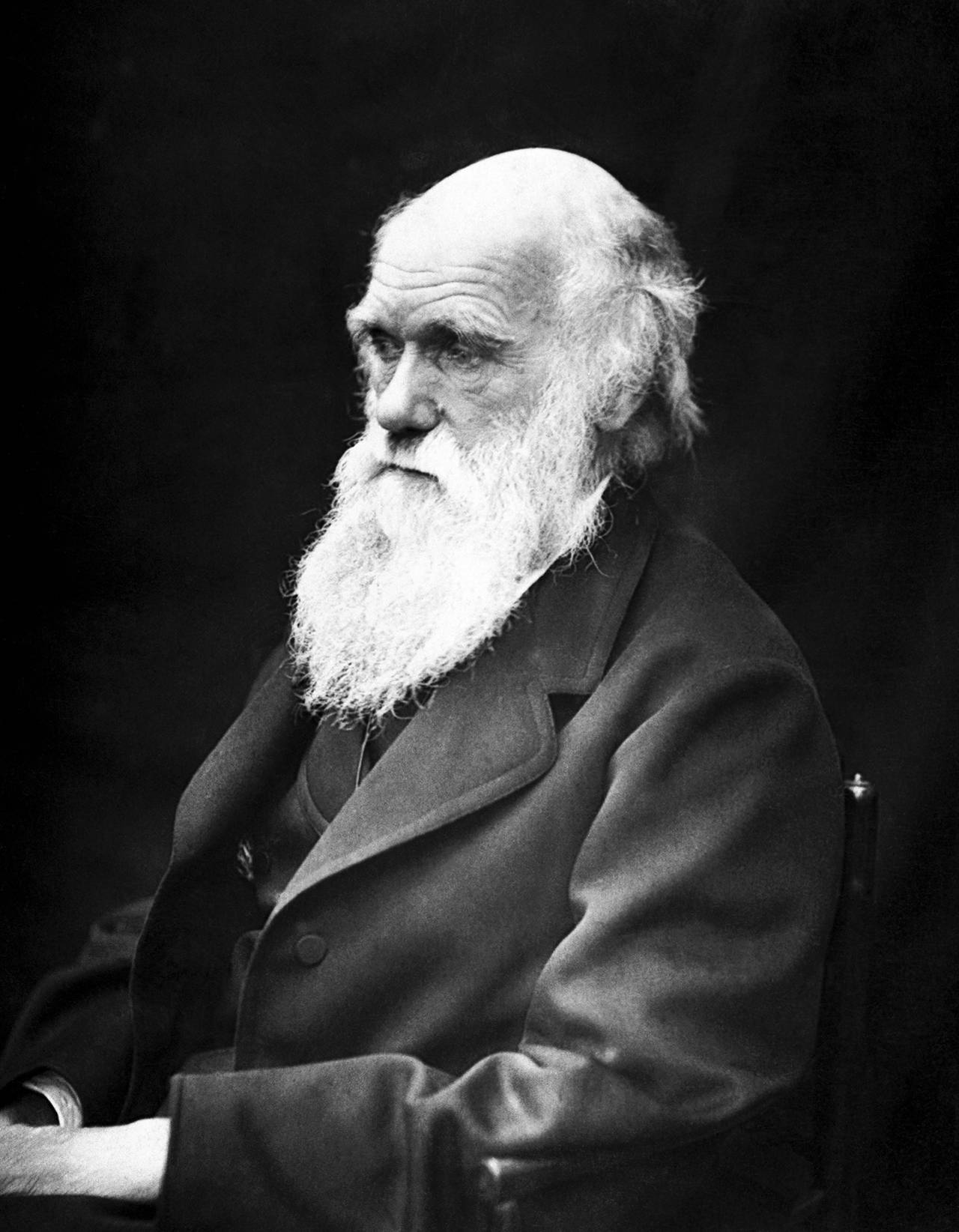 (Julia Margaret Cameron) Charles Darwin in 1869.