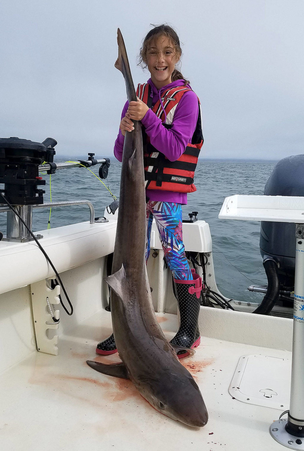 Angler makes big catch off Grays Harbor coastline, establishes shark ...