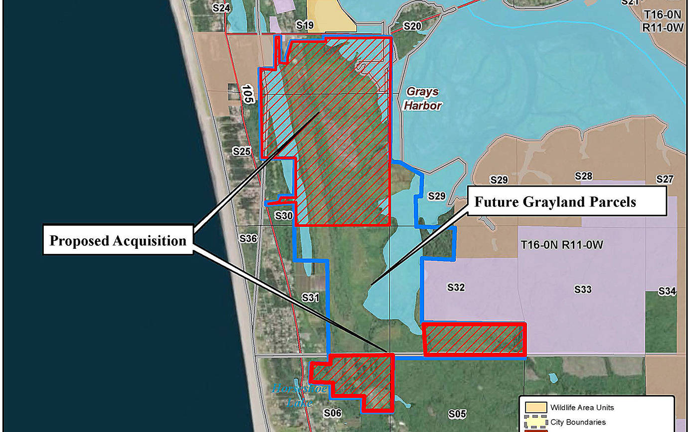 Purchase of 1,100 acres of Grayland waterfowl habitat by WDFW, Ducks Unlimited approved