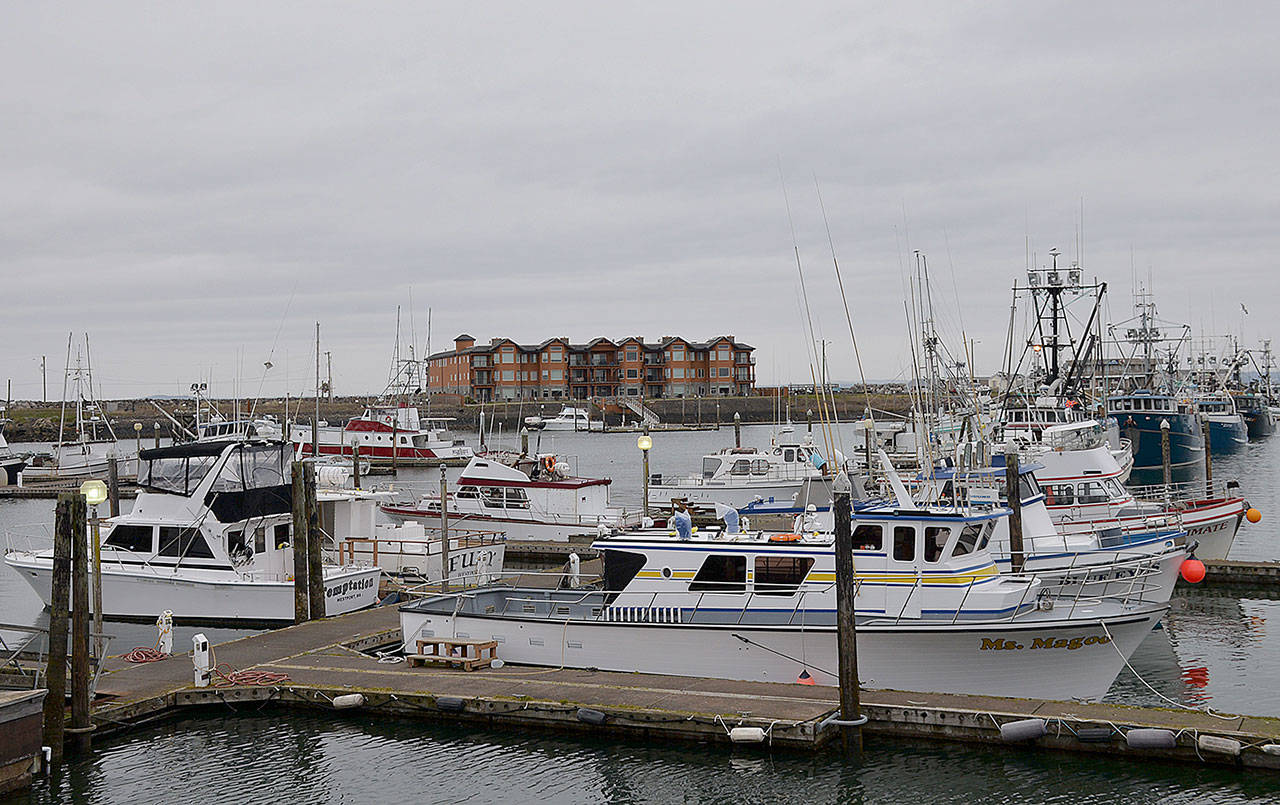 State says salmon season starts June 22 — lots of coho