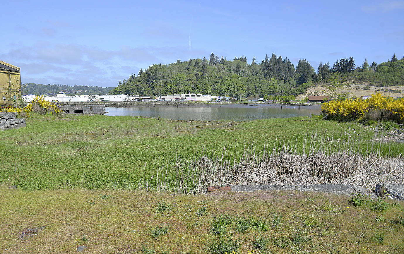 Ecology grants spur environmental testing, potential cleanup at Historical Seaport