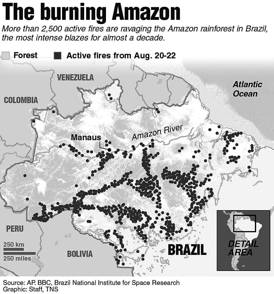 The Amazon Rainforest Is On Fire. Climate Scientists Fear A Tipping ...