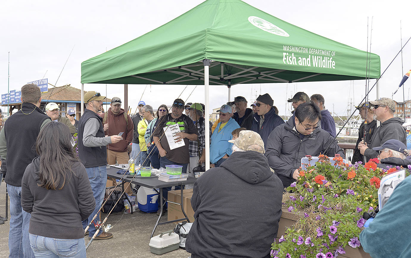 A crew from the Department of Fish and Wildlife set up near the Westport Marina derby station Saturday to offer a free crash course on fishing the boat basin for coho salmon. Dozens of anglers watched the presentation before hitting the floats for a crack at a salmon.