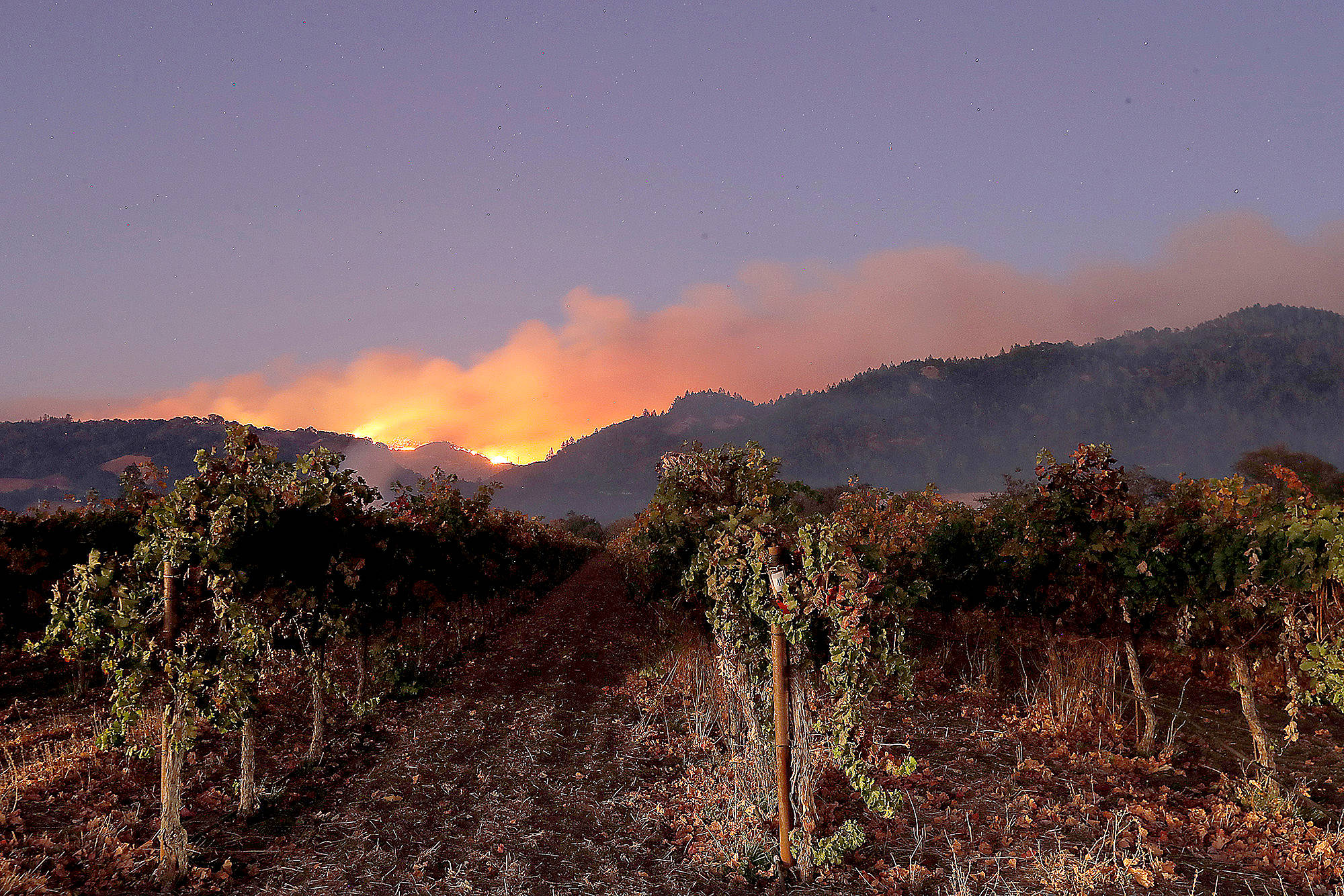 The Kincade fire burns in the hills above the vineyards of the Alexander Valley, near Geyserville, Calif. (Luis Sinco/Los Angeles Times)