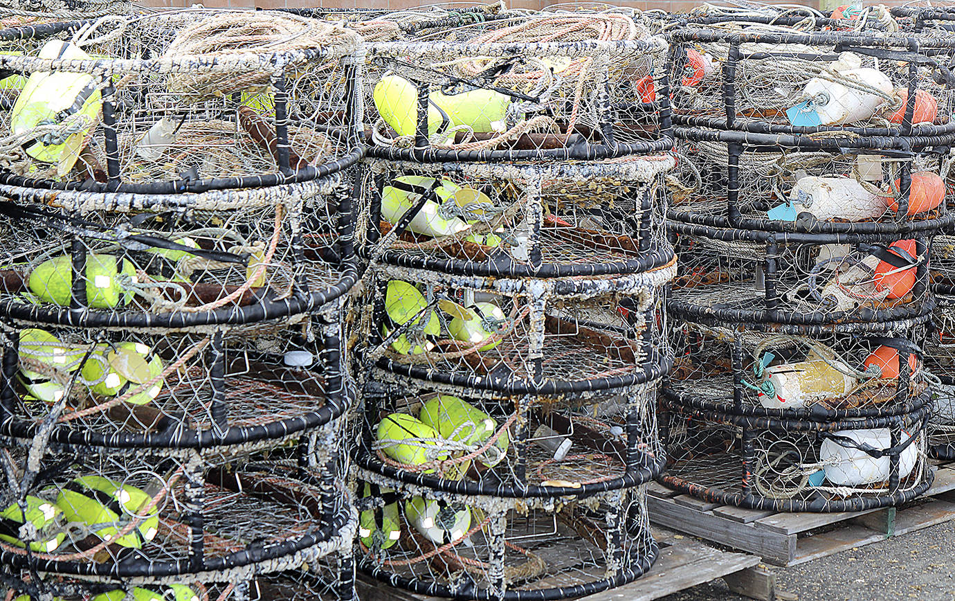 Commercial crab season delayed until at least Dec. 31