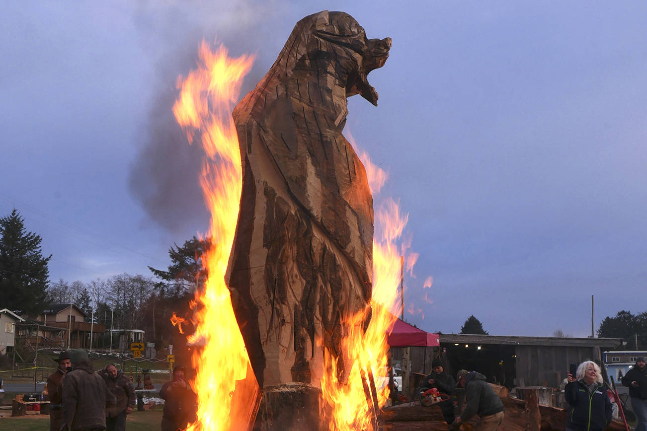 Burning Bear Roars Into 12th Year The Daily World