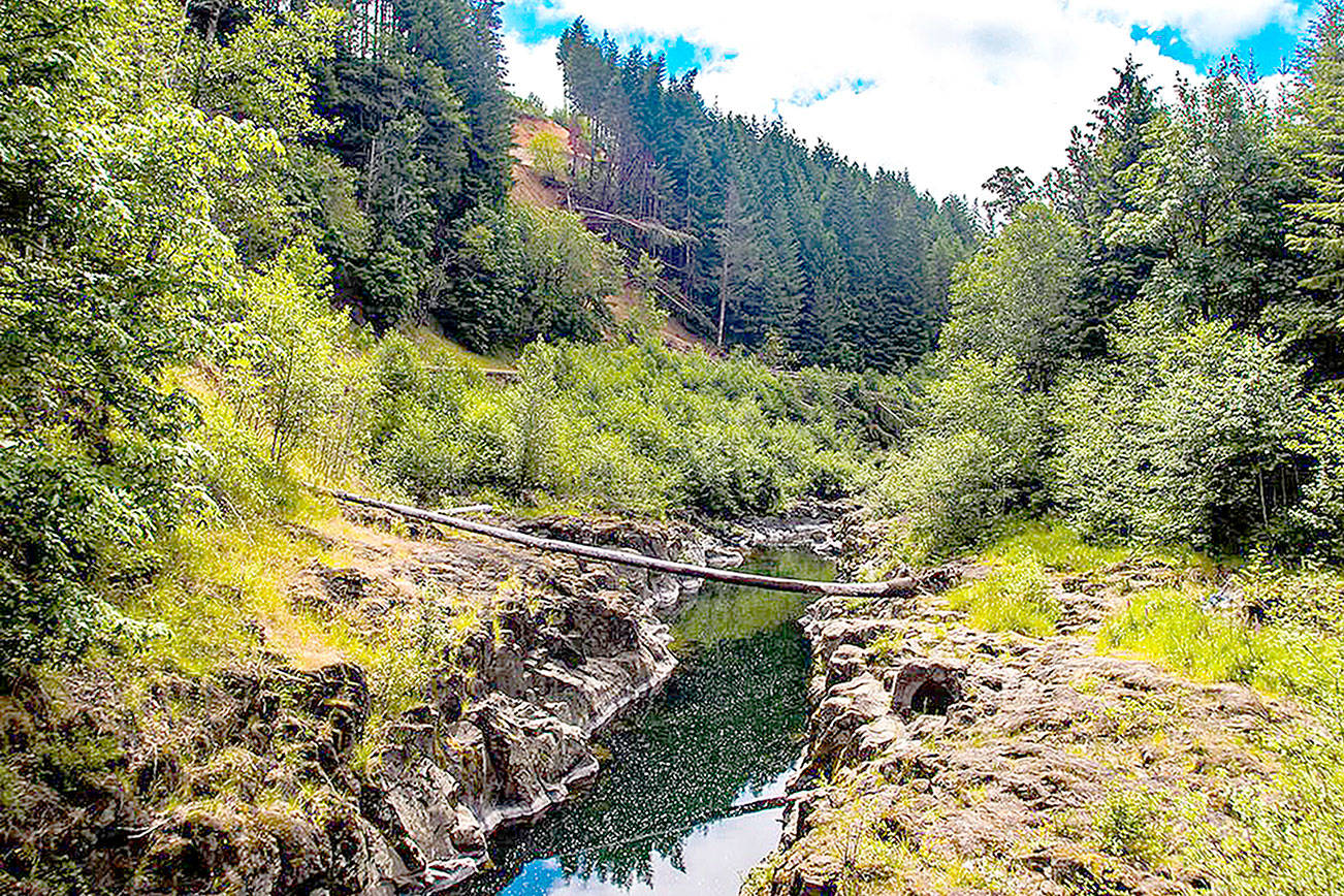 Chehalis Basin dam draft EIS out