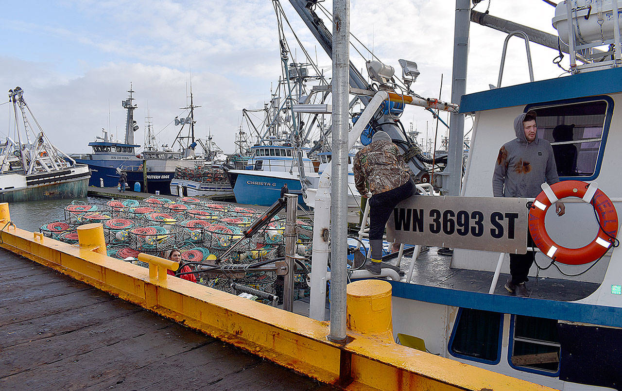 DAN HAMMOCK | THE DAILY WORLD 
The commercial Dungeness crab season has been delayed through at least Dec. 16 this year due to low meat levels. Here, crabbers in Westport prepare for last year’s opener, which didn’t come until late January.