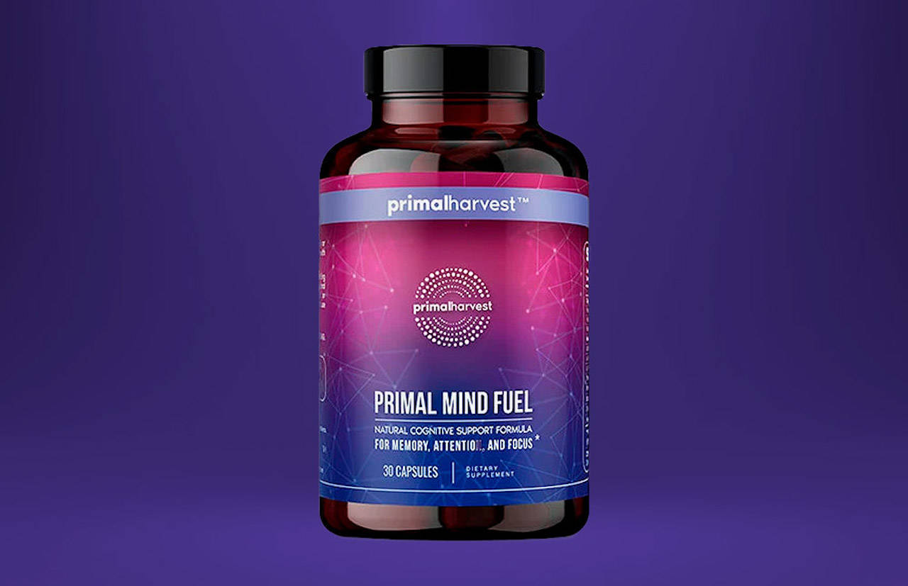 Primal Mind