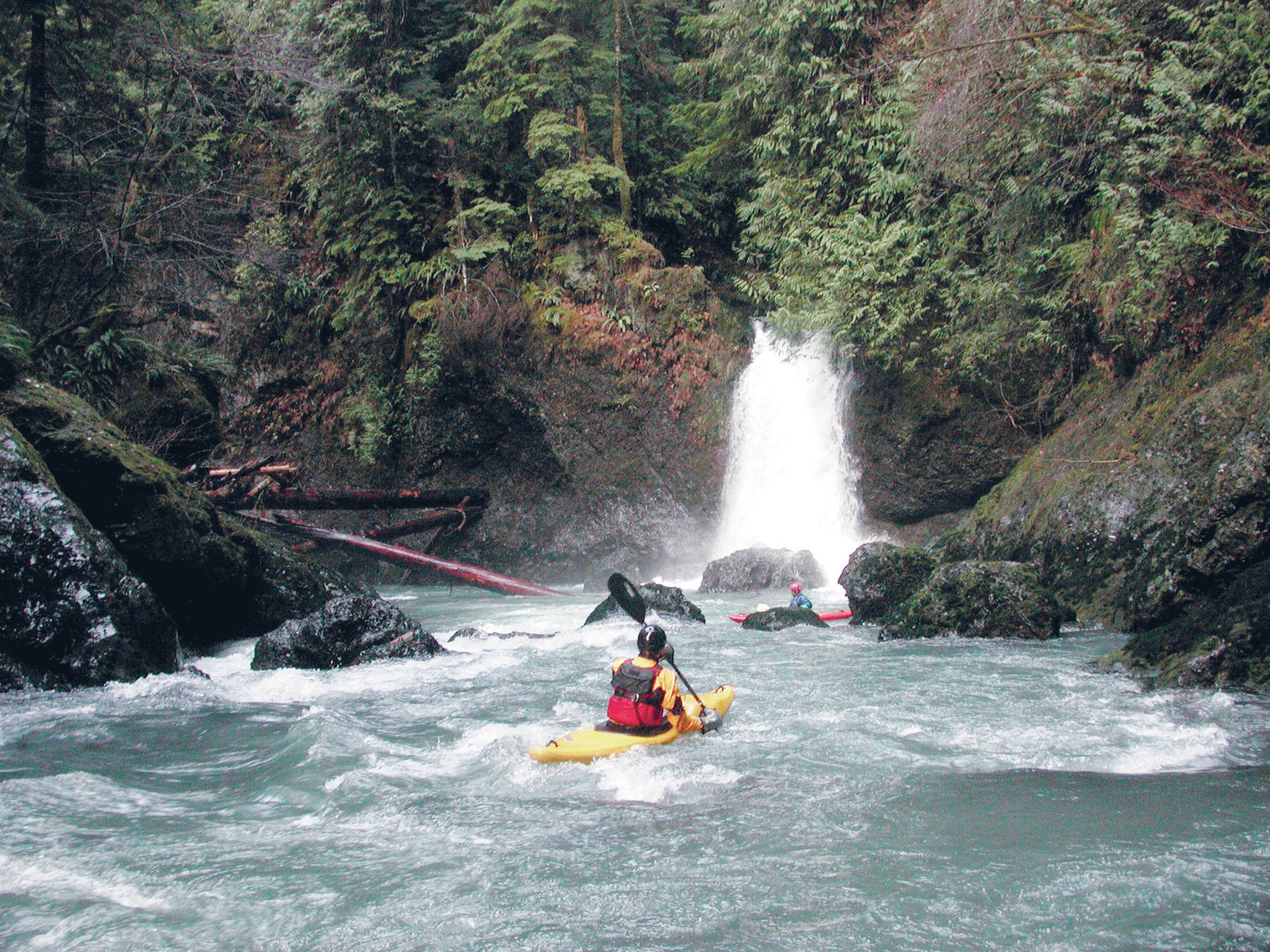 “Courtesy Wild Olympics Campaign” This area on the East Fork Humptulips, is among the rivers proposed for protection under the Wild Olympics Wilderness and Wild and Scenic Rivers Act