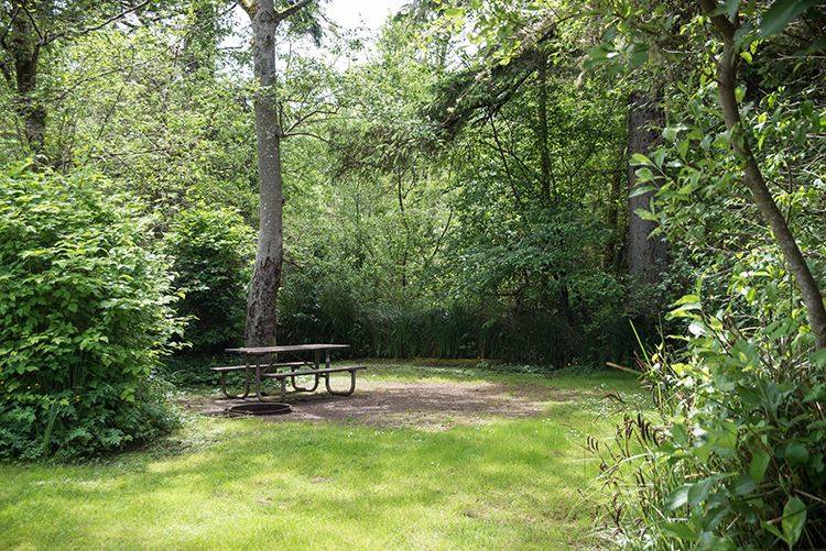 State Parks photo 
A campground at Twin Harbors State Park. Future plans call for moving camping from the east side of State Route 105 to the west side of the park.