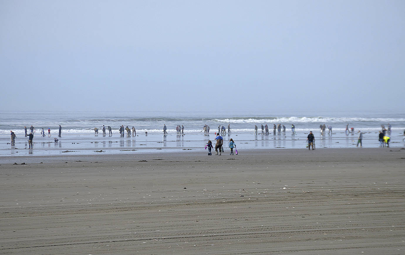 DAN HAMMOCK | THE DAILY WORLD 
Expect heavy traffic this holiday weekend on State Route 109, especially Friday and Sunday mornings with the final two razor clam digs of the season at Mocrocks Beach.