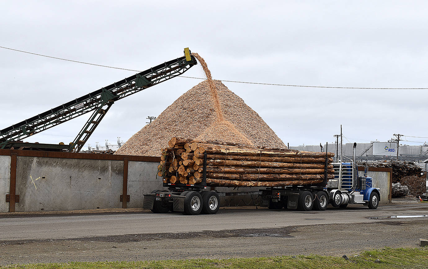 DAN HAMMOCK | THE DAILY WORLD 
The Port of Grays Harbor is a major cog in the county’s, and region’s economy. “You have an extraordinary port that is an economic driver in the community,” said Congressman Derek Kilmer at a Greater Grays Harbor Inc. economic review presentation Tuesday. A record 3.2 million metric tons of cargo was handled at the Port in 2020.