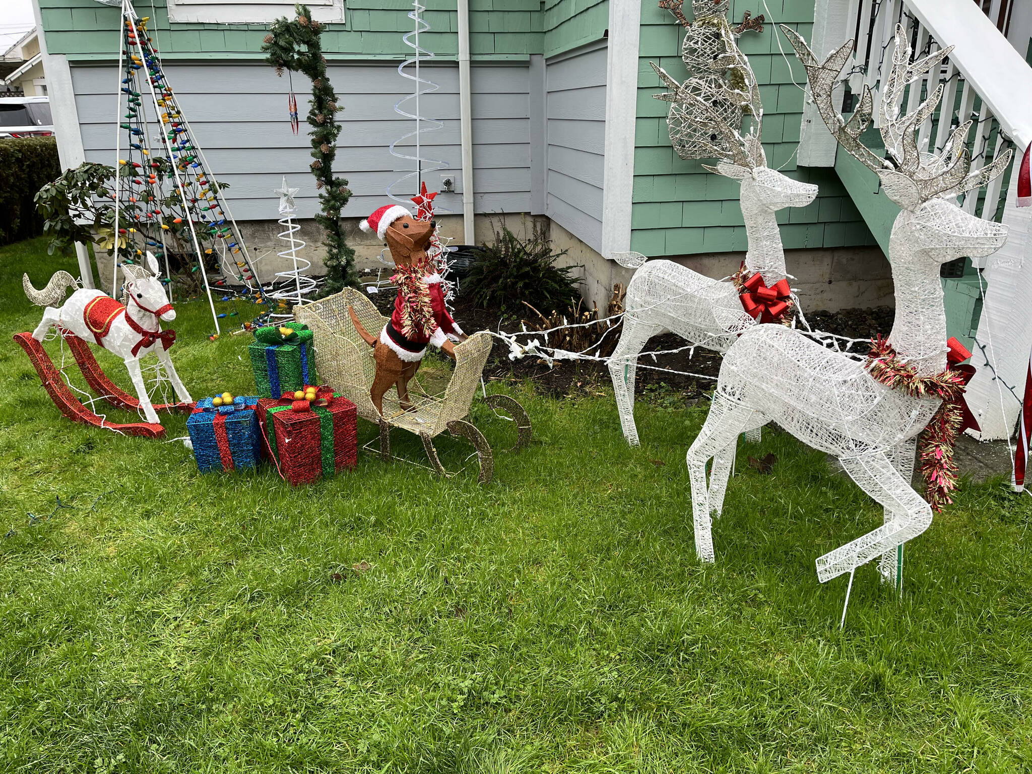 The rocking chair horse "chases" the sleighdog and his reindeer in front of Michele Crane's "Christmas Wonderland" in the 2500 block of Queets Avenue, in Hoquiam.