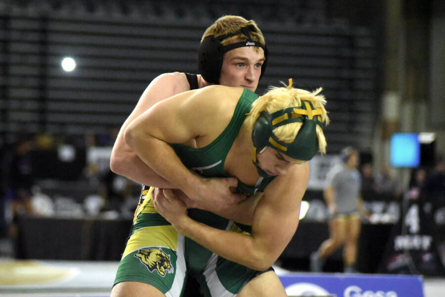 Four locals fall just short of wrestling state championships | The ...