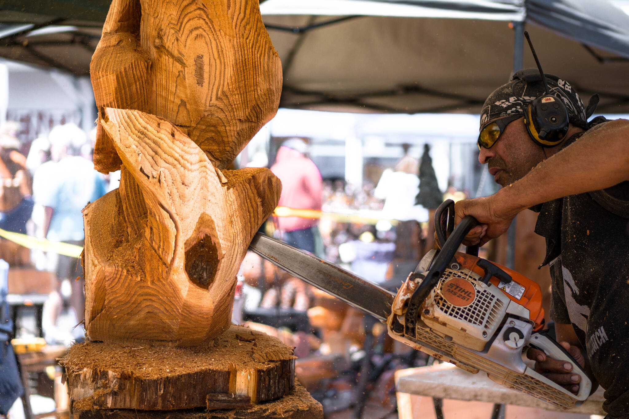 Summer starts with Sand & Sawdust Festival in Ocean Shores The Daily