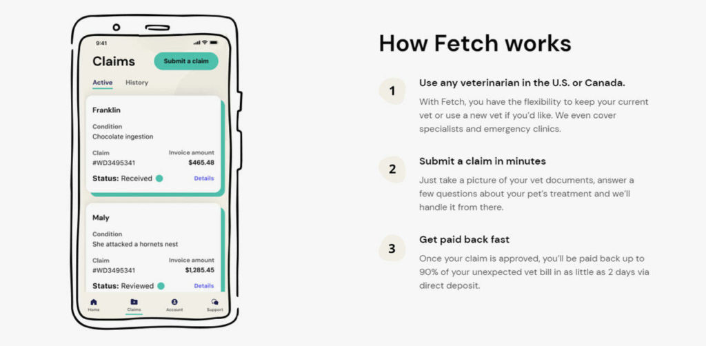 fetch-pet-insurance-reviews-does-it-work-the-daily-world