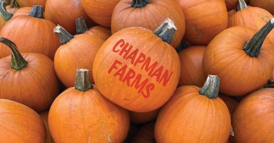 Courtesy photo
Chapman Farm in Montesano offers pumpkin heaven