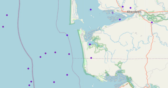 Lightning strikes, denoted by the purple marks, hit around the county on Monday, Jan. 10 as a storm system swept through. (Screenshot / Lightningmaps.org)