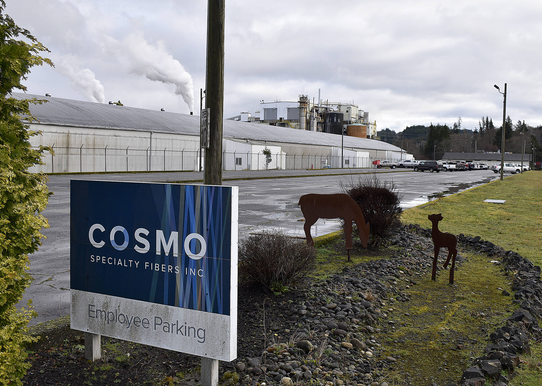 Despite shutting down on Dec. 21, 2022, clarity appears to be approaching regarding a reopening of Cosmo Specialty Fibers Inc., in Cosmopolis. The pulp mills new ownership group, Charlestown Investments, says they are anticipating an end of March timeframe for reopening work for the more than 170 employees that were laid off after completion of financial audits and much needed repairs to the facility. (Daily World File Photo)