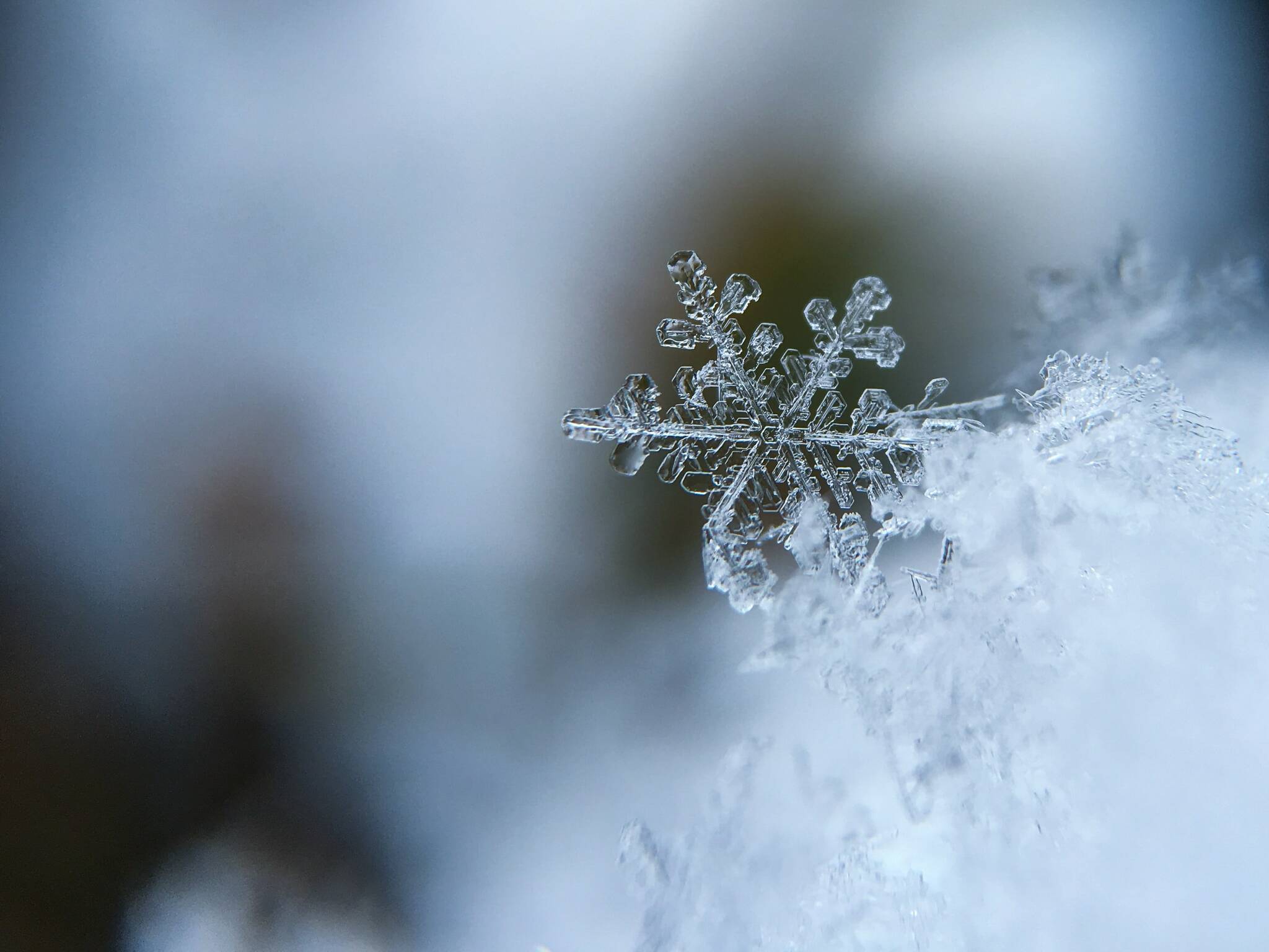 Grays Harbor County will weather cold temperatures beginning on Wednesday, including the chance of snow across the county. (Aaron Burden / Unsplash)