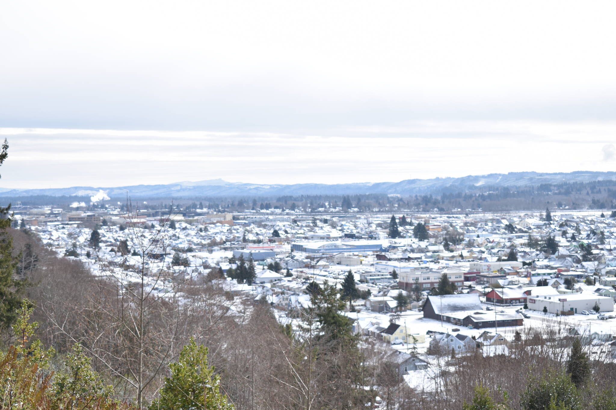 Snow covered much of Aberdeen and Hoquiam Thursday morning, Feb. 23. (Clayton Franke / The Daily World)