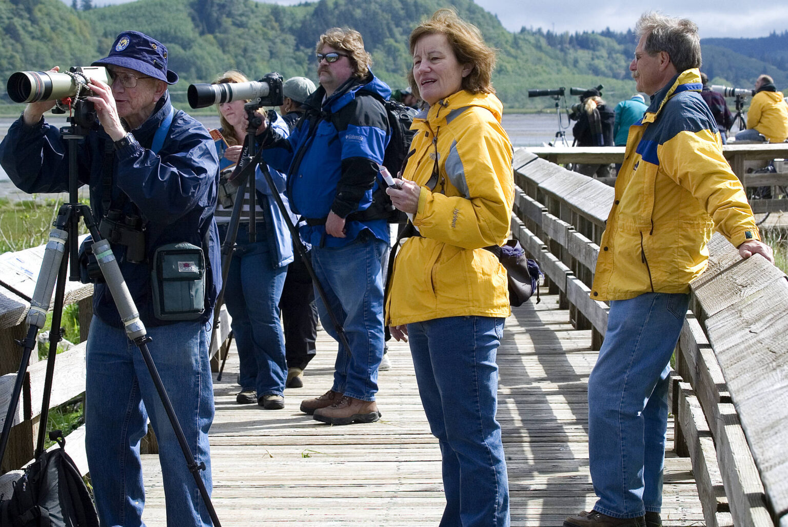 Shorebird Festival returns to Grays Harbor The Daily World