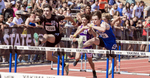 JARED WENZELBURGER | THE CHRONICLE
Raymond’s Morgan Anderson takes second in the 2B boys 110 meter hurdles in Yakima on Saturday, May 27.