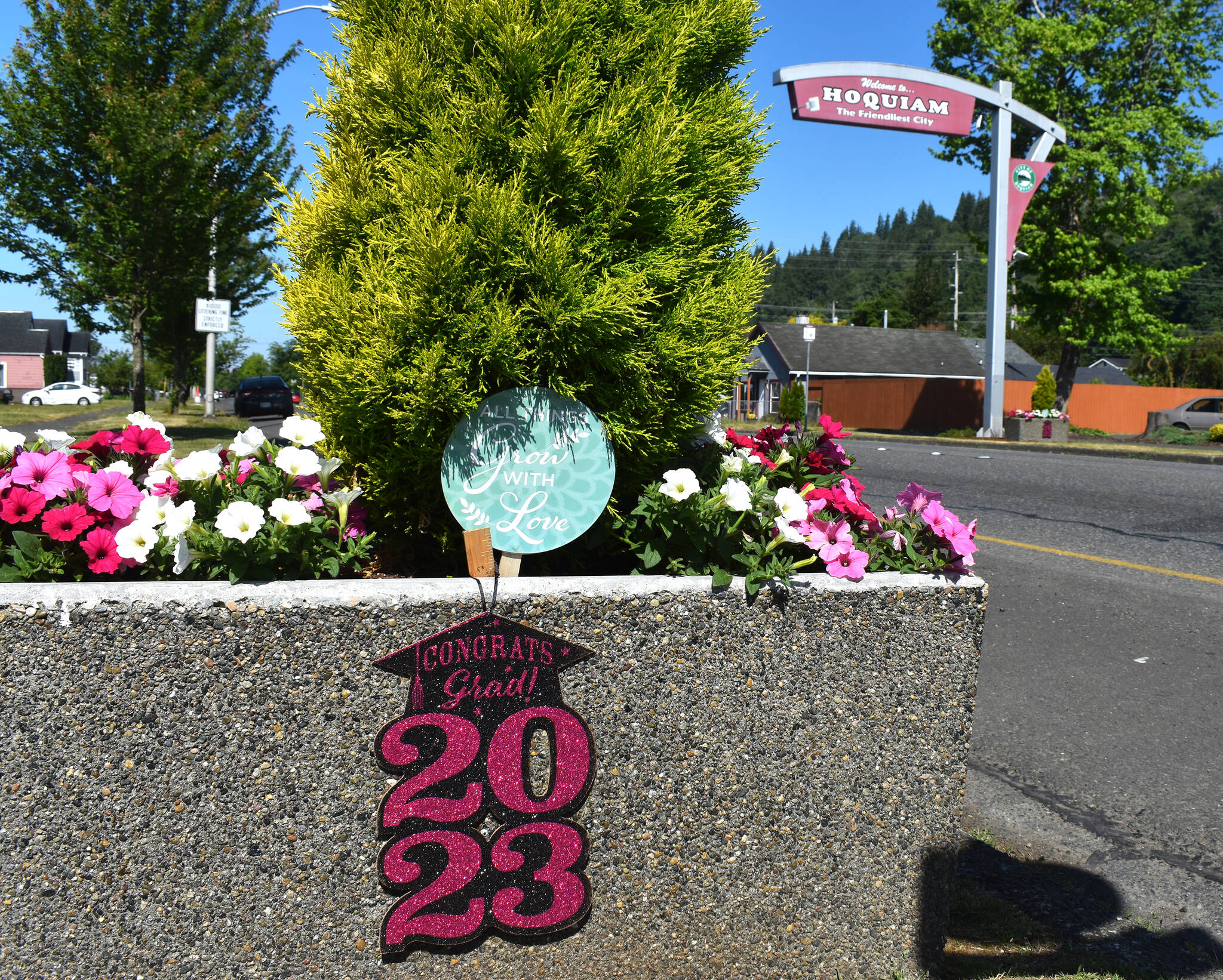 Matthew N. Wells / The Daily World
A closeup view of the flower box in front of Raintree Veterinary Center, which is located across from the “Hoquiam: The Friendliest City” sign that welcomes passersby into the city on Sumner Avenue. The boxes have been vandalized in the past and it’s frustrating to Betsy Seidel, a member of Hoquiam Crime Watch and Hoquiam Beautification Team.