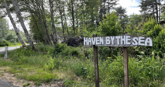 Clayton Franke / The Daily World
The Haven By the Sea water system in Copalis Beach currently serves a neighborhood of 30-40 homes, but once connected with a nearby well will supply water to local businesses, and eventually be part of a larger community water system.