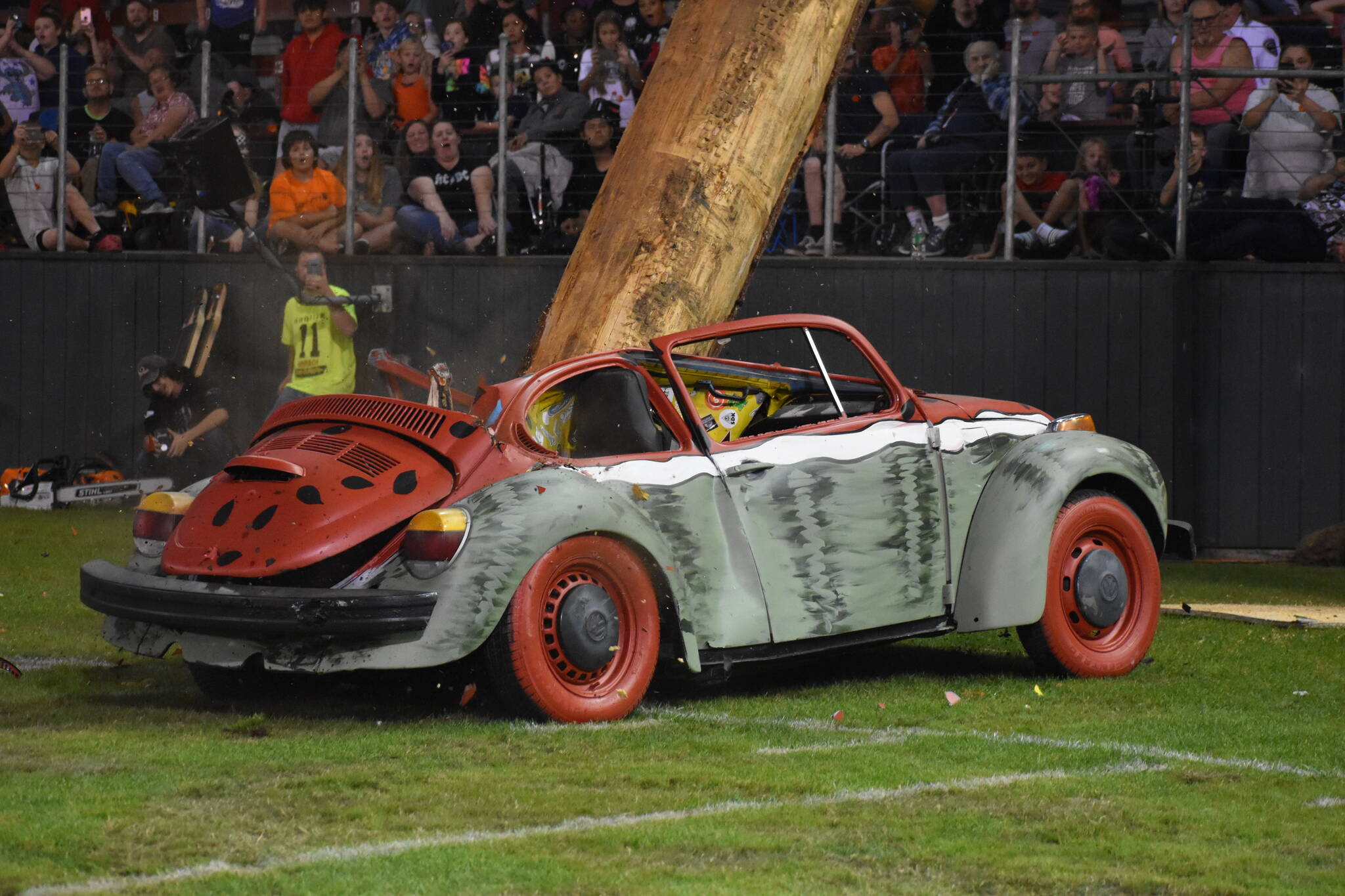 Thousands of people were reminded of the destruction a massive timber log can do to a car during last year’s Loggers Playday Show as Ed “Mooch” Smith expertly cut into a Douglas fir from inside Olympic Stadium in Hoquiam. Smith’s precision cuts resulted in the piece of timber falling squarely through the hood of an old Volkswagen Beetle, which was painted to look like a watermelon.