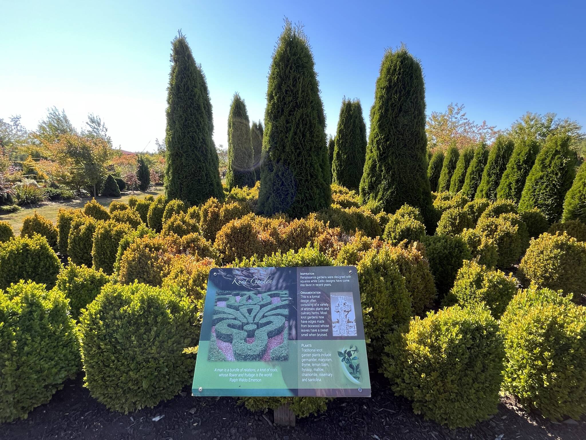 A short walk Thursday afternoon through Westport Winery Garden Resort’s exterior ground led to one positive element of the seasonal change of summer to fall — when foliage turns from a lush green to yellows and reds. (Matthew N. Wells / The Daily World)