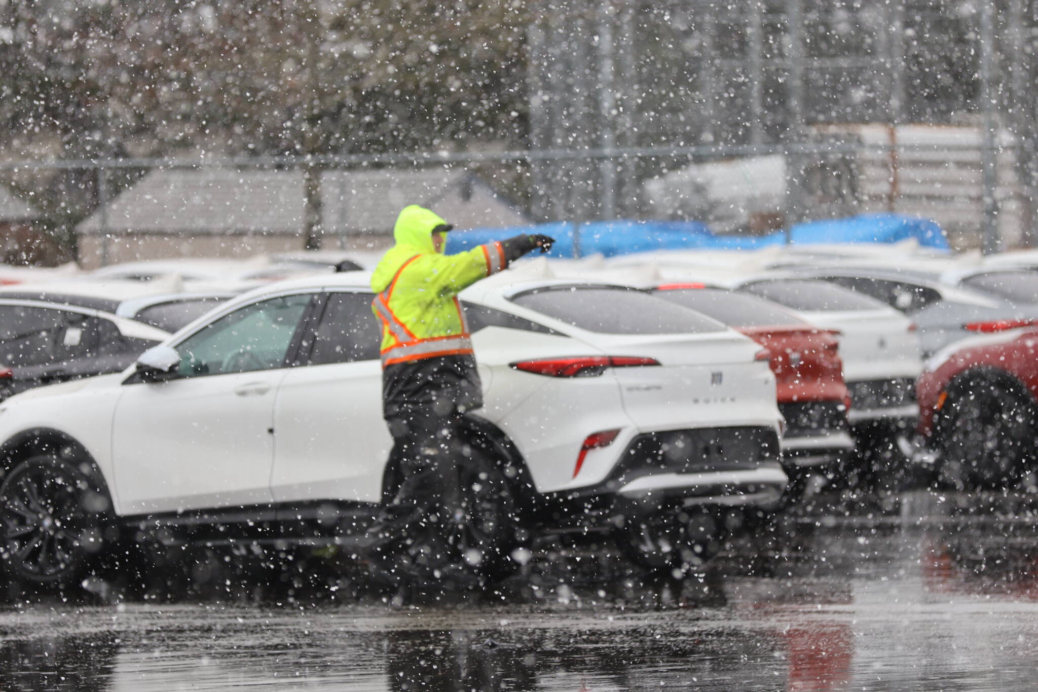 A longshoreman guides in automobiles into neat rows as they offload a car carrier at the Port of Grays Harbor. (Michael S. Lockett / The Daily World)