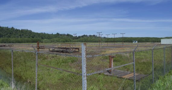 Clayton Franke / The Daily World
Pacific Northwest Renewable Energy will begin construction this year on a 40-acre wood pellet manufacturing facility at this property owned by the Port of Grays Harbor near its Terminal 3 dock in Hoquiam. The $250 million plant will take 24-30 months to build, the company said.