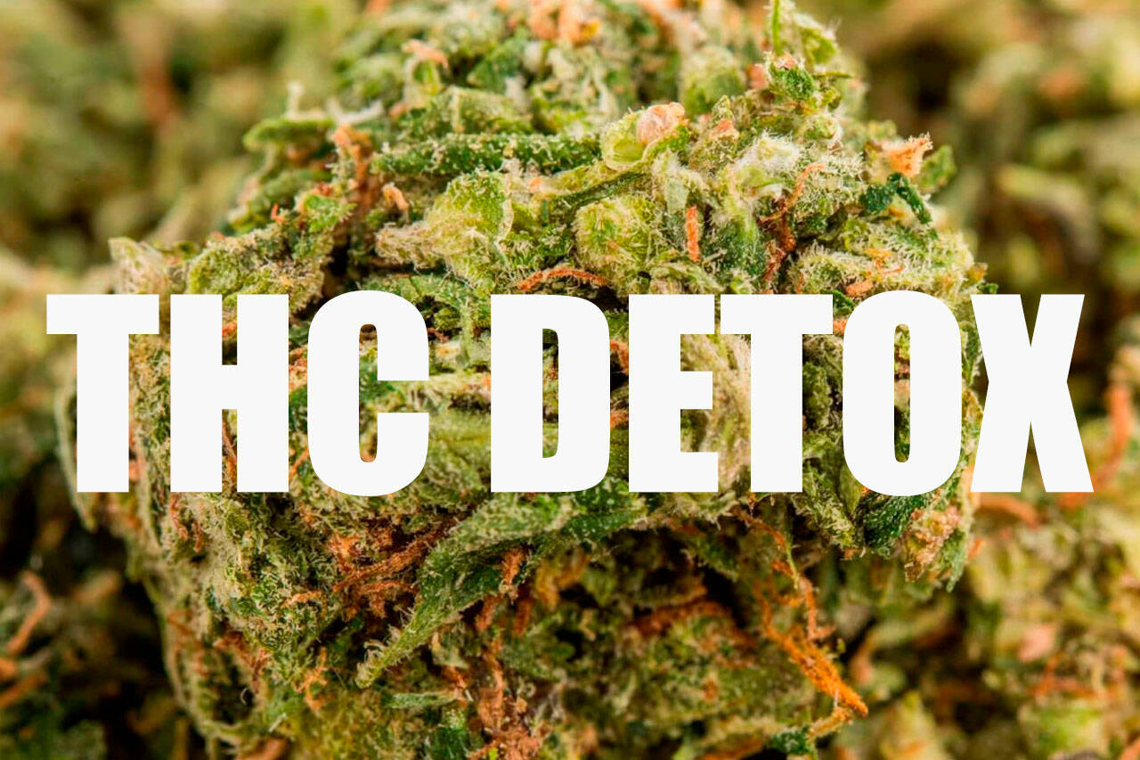 How To Get Rid Of Thc Quick